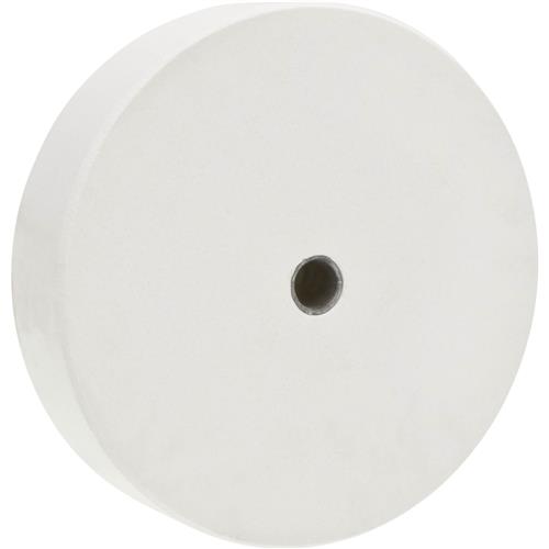 Image for Grizzly H2432 - 10" Stone For G1036