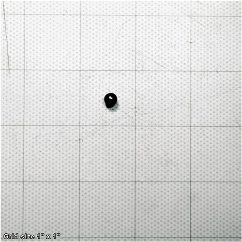 Image for Grizzly PSTB003M - STEEL BALL 6MM