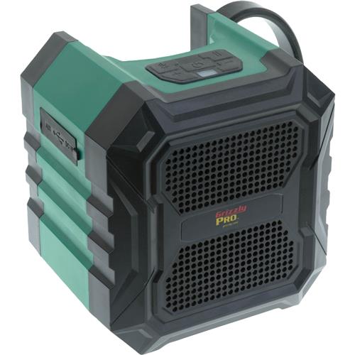 Image for 20V Bluetooth Speaker